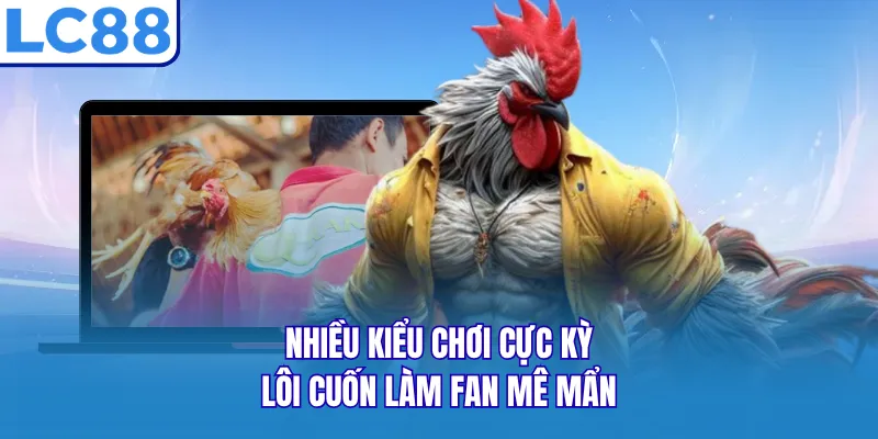 Nhiều kiểu chơi cực kỳ lôi cuốn làm fan mê mẩn Nhiều kiểu chơi cực kỳ lôi cuốn làm fan mê mẩn