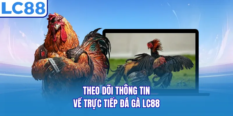Theo dõi thông tin về trực tiếp đá gà LC88 Theo dõi thông tin về trực tiếp đá gà LC88